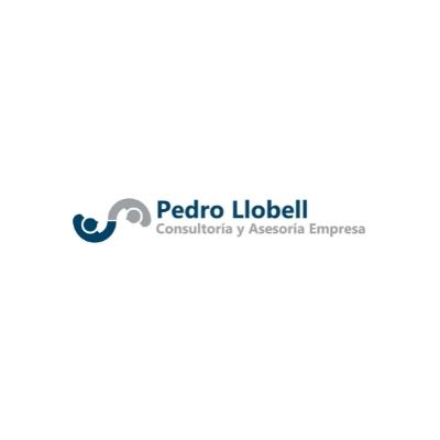 Equipo Saforconecta Neting - Pedro Lloell Asesoría de Empresas