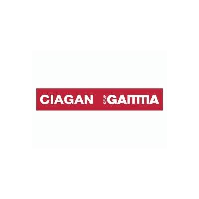 Equipo Safor Conecta Neting - Ciagan Gamma